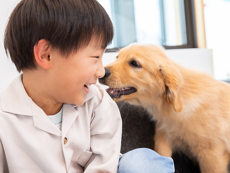 子どもとペット